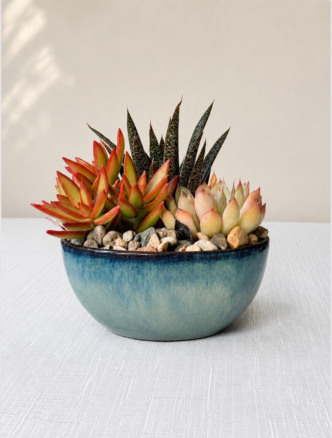 Assorted Pot
